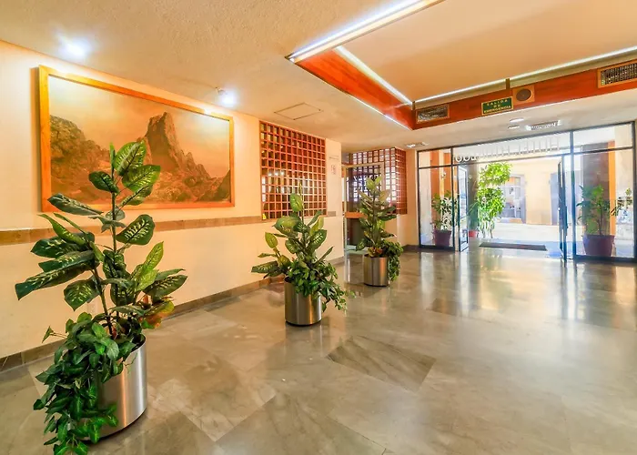 Oyo Hotel Hidalgo México DF